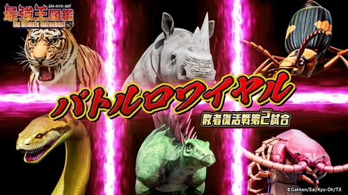 Background image for Episode 24