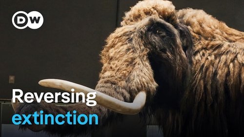 Background image for Should we bring extinct species back to life?