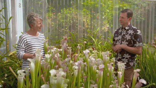 Background image for Episode 3 Rust, Shade, Dementia & Sarracenia