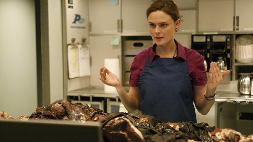 Background image for The Passenger in the Oven