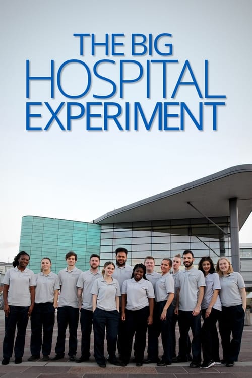 Show cover for The Big Hospital Experiment