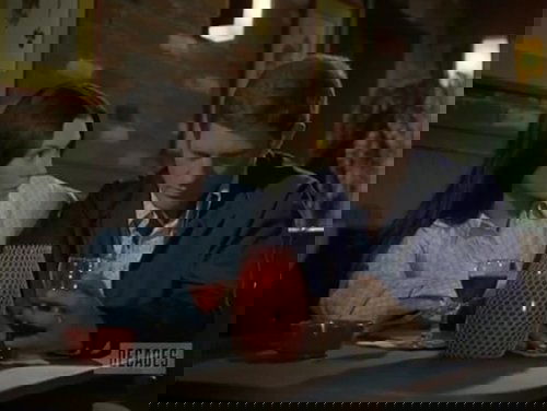 Background image for Lots of Trees and a Running Stream