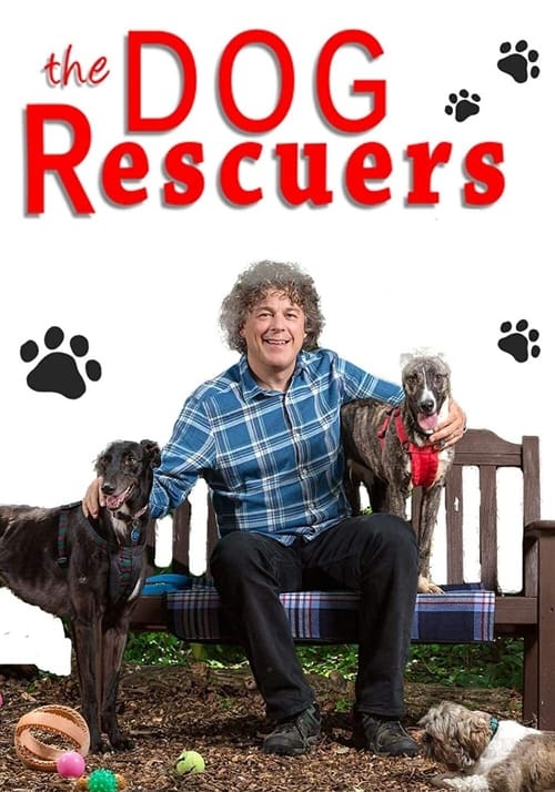 Show cover for The Dog Rescuers with Alan Davies