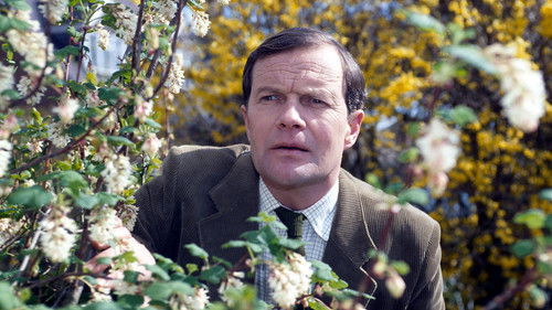 Background image for A Picnic For Daddy