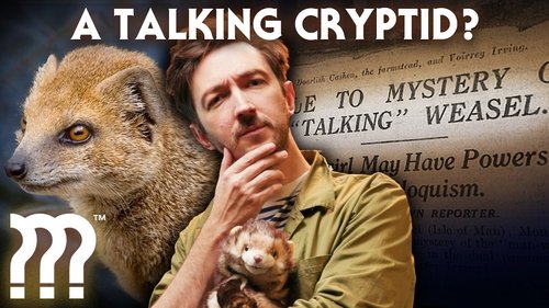 Background image for The Freaky Case of Gef the Talking Mongoose