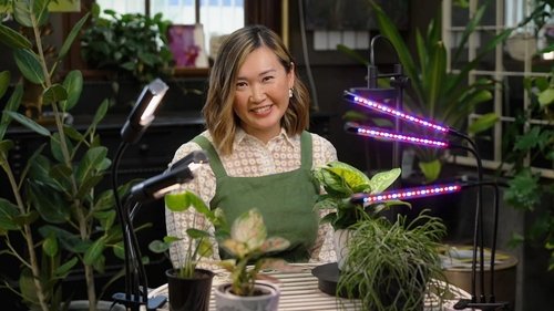 Background image for Episode 15 Autumn: Frog ponds and chrysanthemums