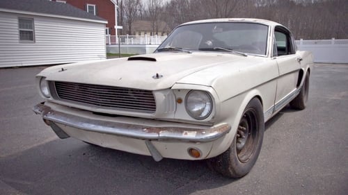 A 40 Year Secret Shelby GT