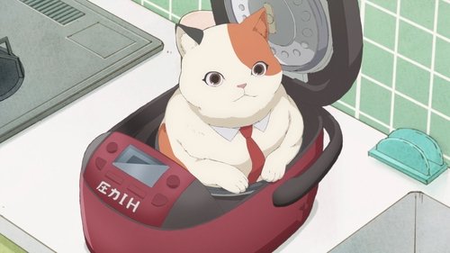 MuMu and the Rice Cooker