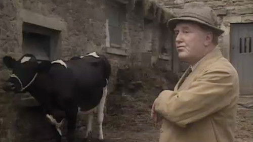 Background image for The Rough and the Smooth