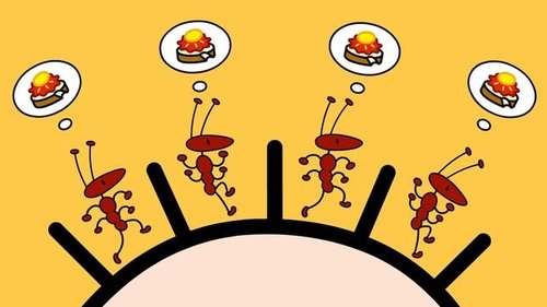 Background image for Episode 2