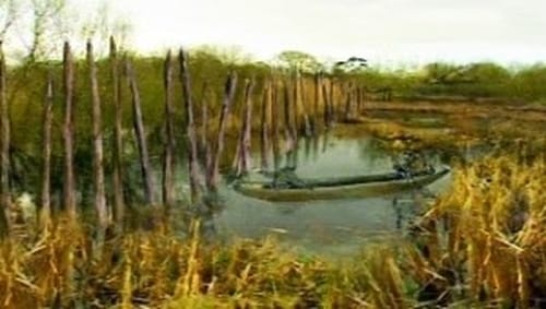 Bronze-Age Trackway - Greylake, Somerset