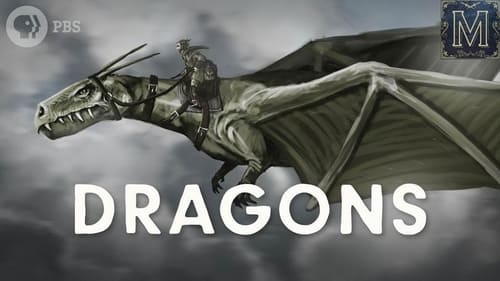 What Dragons Say About Us