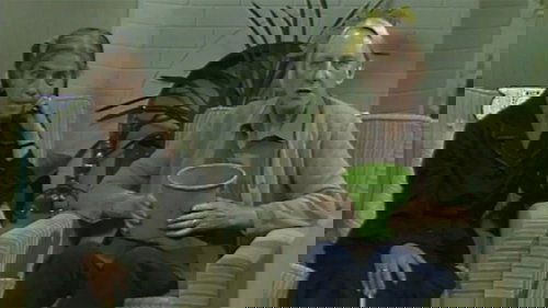 Background image for The Neighbours
