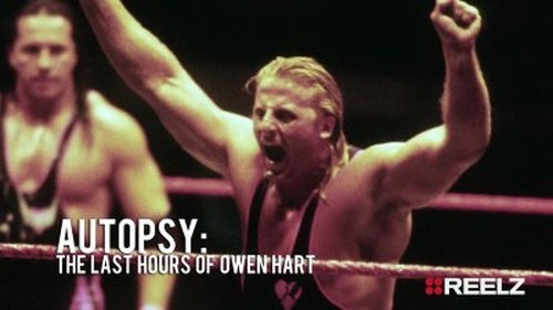 Background image for Owen Hart