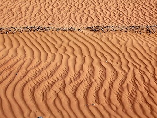 Background image for The Pink Wadi Rum