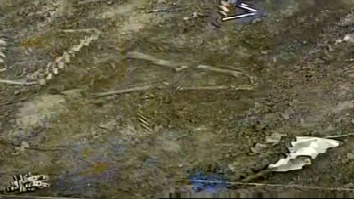 Background image for Mystery of the Cornish Skeletons - Launceston, Cornwall
