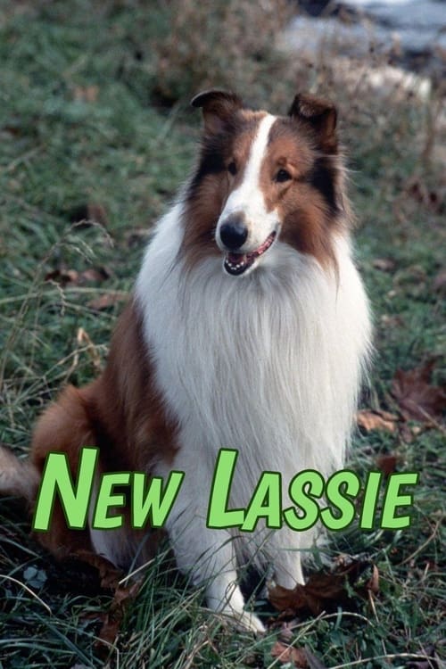 Show cover for The New Lassie