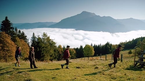 Background image for Liebesfalle