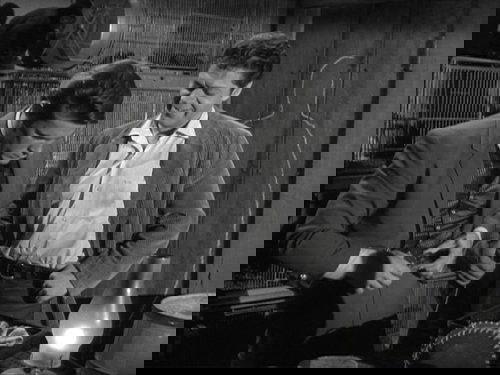 Background image for The Night of the Sudden Plague