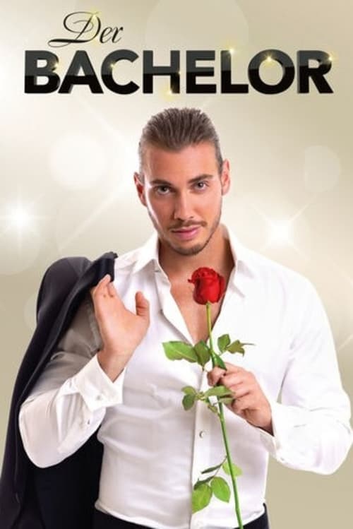 The Bachelor