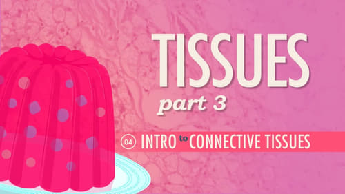 Tissues, Part 3 - Connective Tissues