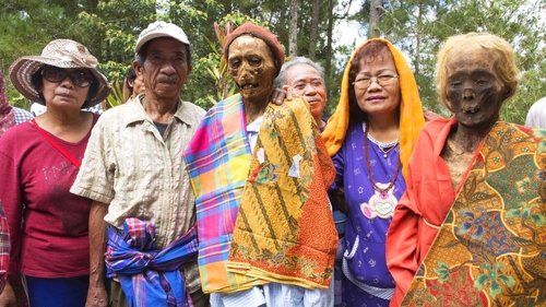 Background image for Sulawesi, Indonesia