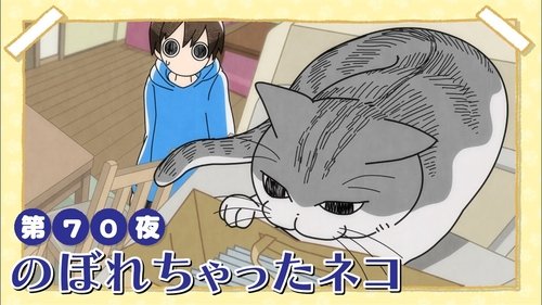 Night 70: The Cat that Climber Up