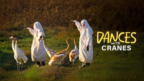 Background image for Dances with Cranes