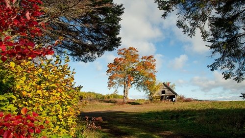 Background image for Episode 4