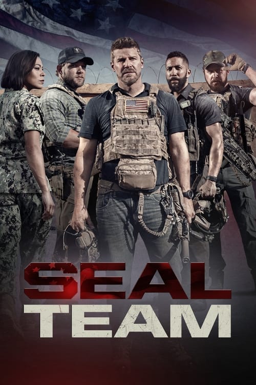 Show cover for SEAL Team