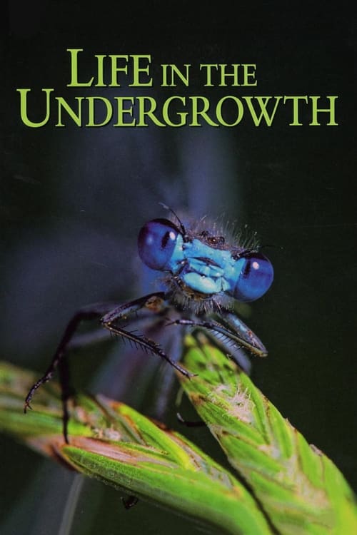 Show cover for Life in the Undergrowth