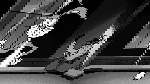 Background image for The Color of Bunny