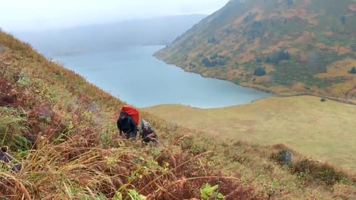 The Hanging Tree: Afognak Island Elk