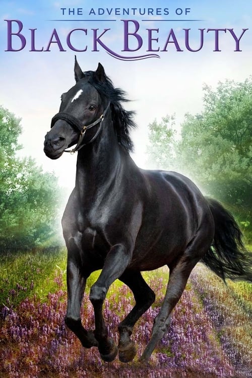 Show cover for The Adventures of Black Beauty