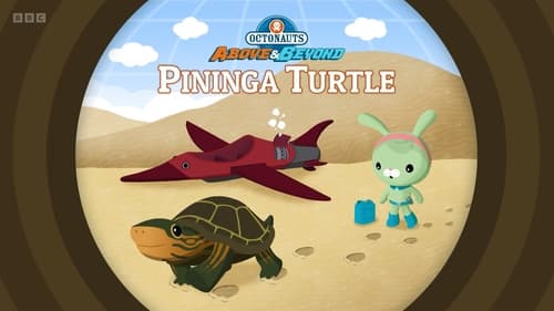 Pininga Turtle