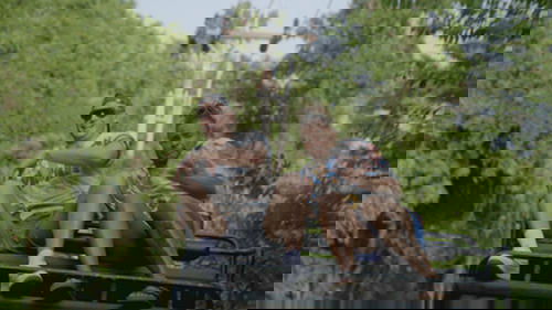 Background image for Will She, Won't She?