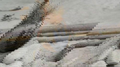 Background image for Episode 10