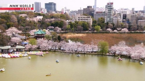 Background image for Ueno