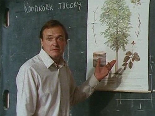 Background image for Oh Look, It's Average-Sized Trevor Chaplin