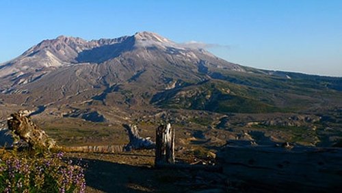 Background image for Mt. St. Helens Back From the Dead