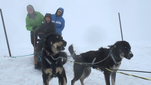 Alaska's Animals