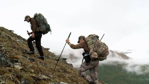 The Greatest Draw: Alaska Dall Sheep (1)