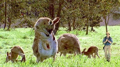 Marsupials