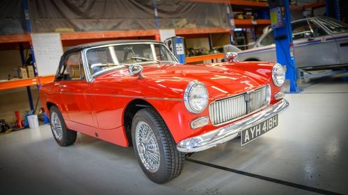 MG Midget