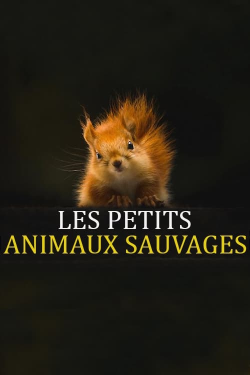 Show cover for Les Petits Animaux Sauvages