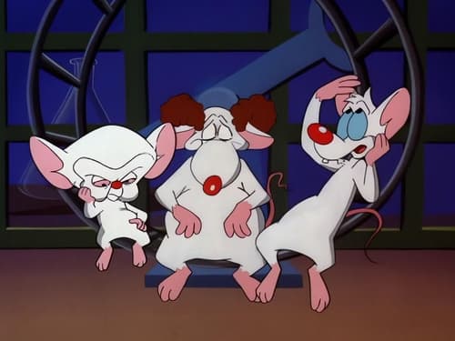 Pinky & The Brain ...and Larry
