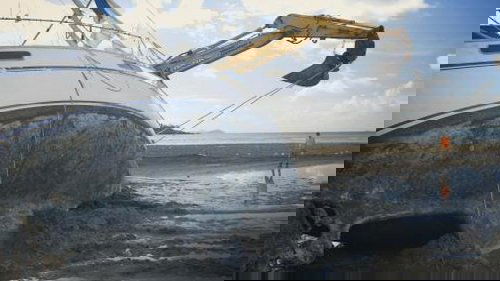 Background image for The Tide Is King
