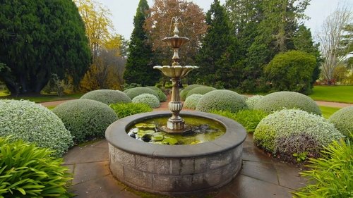 Background image for Episode 10 Autumn: Beginner gardeners and old hands alike