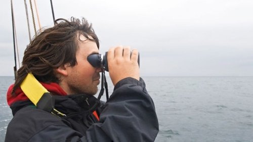 Pelagic Birds