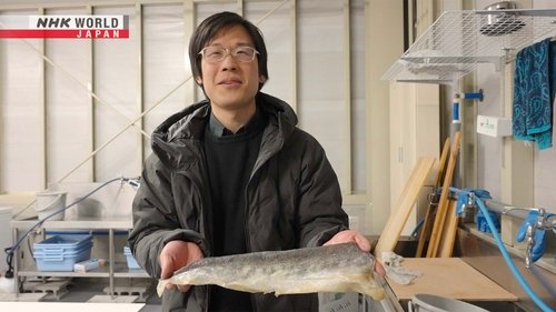 Background image for Fish Leather Maker - Noguchi Tomohisa